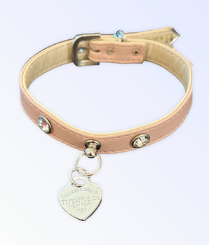 Pretty in Pink and Sniffany Collar