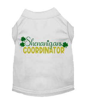 Shenanigans Coordinator