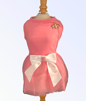 Bee Mine Valentine Dog Dress