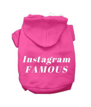 IG Famous Hoodie