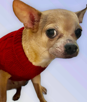 Knit Turtleneck Dog Sweater