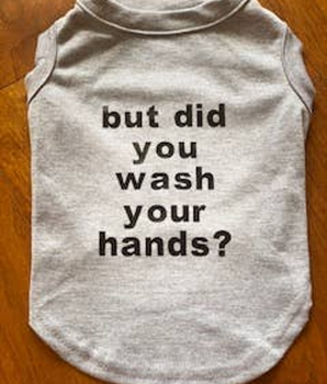 But did you wash your hands tee