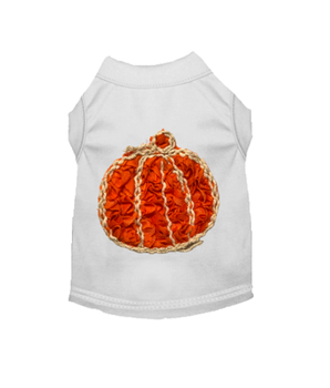 Chiffon Rose Halloween Pumpkin Shirt