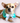 Sniffany Blue Neck Collar- Dog Neck Collar