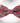 Southwestern Bow Tie