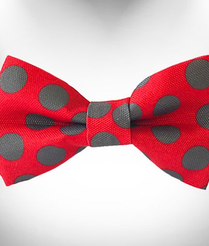 Polka Dot Dog Bow Tie