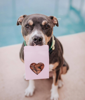 Heart(Beet) Boxes - Superfood Dog Treats