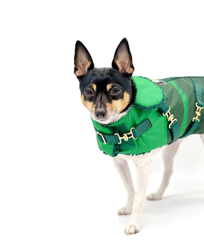 Dog Clothes Coat - "Green with Envy" - DCNY Equestrian Collection