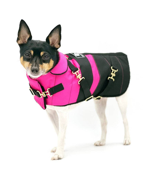 Dog Clothes Coat - "Fun with Fuschia" - DCNY Equestrian Collection