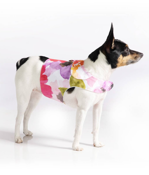 DCNY "Fine Art Frolic" Pink Vest-Style Harness