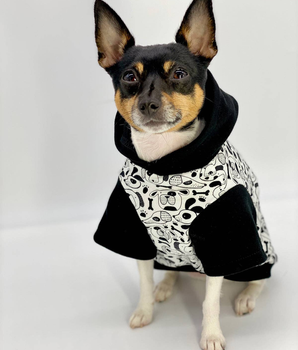 DCNY: Iconic "Pup Art" Designer Dog Hoodie