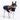 Dog Clothes Coat - DCNY Ranch Coat