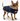 Dog Clothes Coat - DCNY Faux Fur Denim Coat