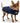 Dog Clothes Coat - DCNY Faux Fur Denim Coat