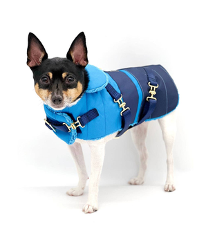 Dog Clothes Coat - "Clear Blue Sky" - DCNY Equestrian Collection