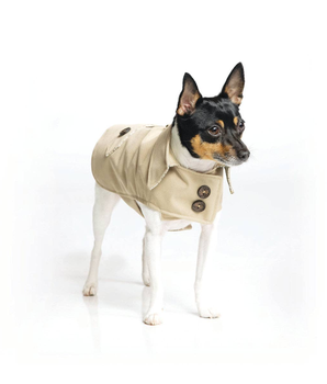 Dog Clothes Coat - DoggieCoutureNY Classic Trench Coat