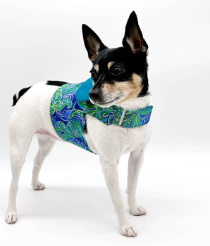 DCNY "Pretty in Paisley" Vest-Style Harness