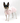 Dog Clothes Coat - DCNY Belted Trench Coat