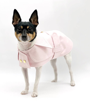 Dog Clothes Coat - DCNY Belted Trench Coat