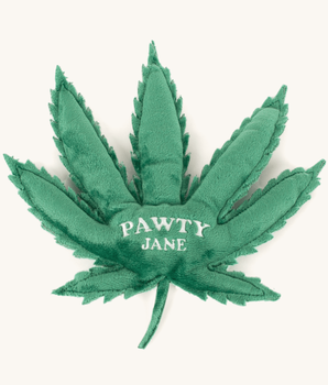 Pawty Jane