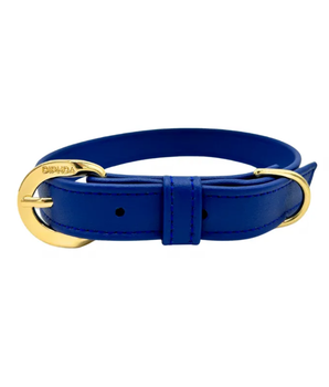 Galactic Blue Cactus Collar