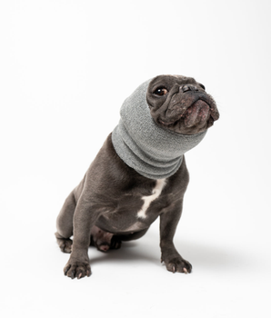 PET HOODZ DOG HOODIES FOR ANXIETY