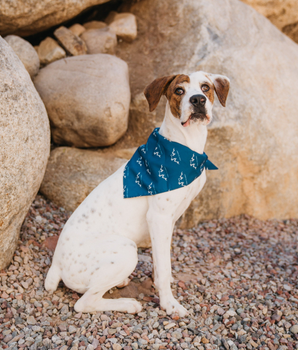 Bandoggies Dog Bandana - Alpha Pak Logo Bandana