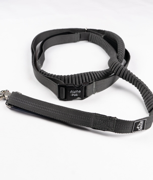 Cascades Graphite Stretchable Runner Dog Leash