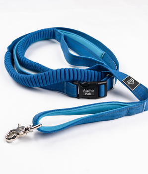 Cascades Metallic Blue Stretchable Runner Dog Leash