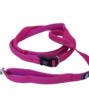 Cascades Plum Boysenberry Stretchable Runner Dog Leash