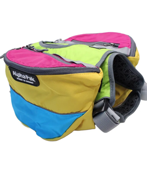 Adventurer 2-piece Dog Pack With EZ Latch  Harness