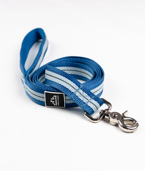 Appalachian Jazz Blue Flat Dog Leash