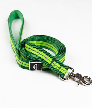 Appalachian Kiwi Green Flat Dog Leash