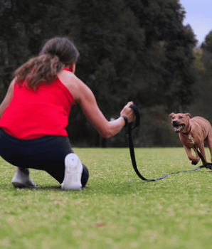 Canny Recall Leash