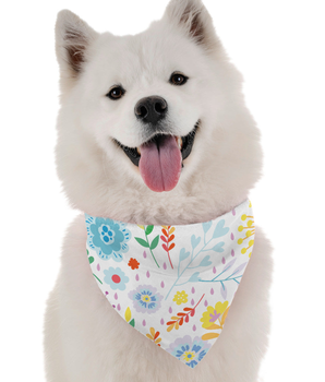 Bandoggies Dog Bandana - Desert Flower