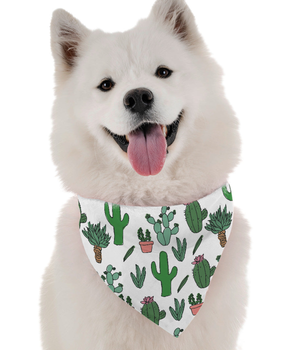 Cutsie CactusBandoggies Dog Bandana -