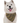 Bandoggies Dog Bandana - Aspen