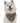 Bandoggies Dog Bandana - Rosemary