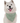 Bandoggies Dog Bandana - Talullah