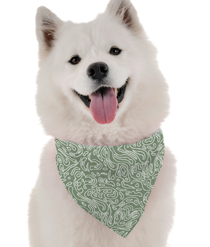 Bandoggies Dog Bandana - Talullah