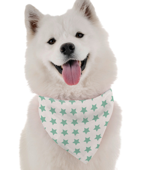 Bandoggies Dog Bandana - You're a Star