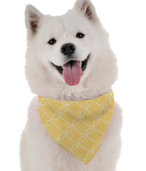 Bandoggies Dog Bandana - Curly Cue