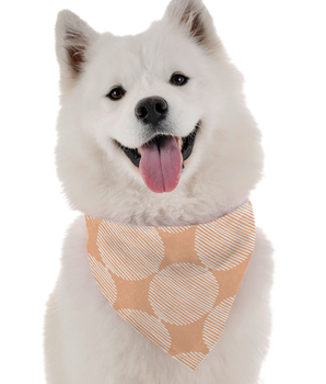 Bandoggies Dog Bandana - Aria