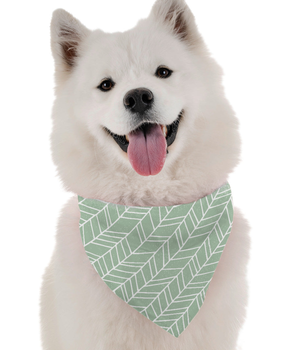 Bandoggies Dog Bandana - Jade