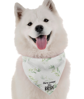 Bandoggies Dog Bandana - Here Comes the Bride