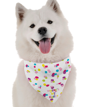 Bandoggies Dog Bandana - Where's My Cake? (Girl)