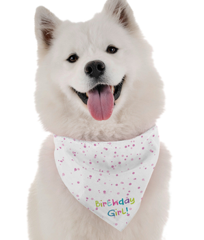 Bandoggies Dog Bandana - Birthday Girl