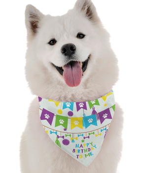 Bandoggies Dog Bandana - Happy Birthday To Me (Boy)