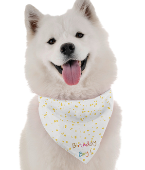 Bandoggies Dog Bandana - Birthday Boy