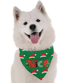 Bandoggies Dog Bandana - Nice